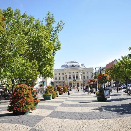 Spacious 100 Sqm Apartment In Old Town On Hviezdoslav Square For Business And Groups