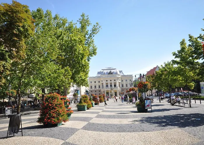 Spacious 100 Sqm In Old Town On Hviezdoslav Square For Business And Groups