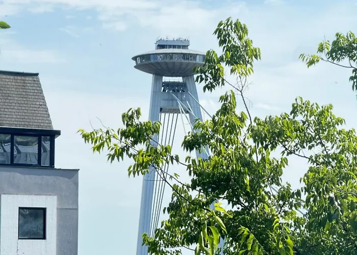 Spacious 100 Sqm In Old Town On Hviezdoslav Square For Business And Groups Apartmán *