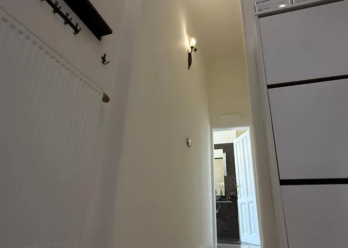 Spacious 100 Sqm In Old Town On Hviezdoslav Square For Business And Groups