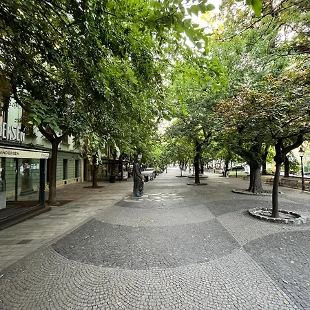 Hviezdoslav Square, The Historic Heart Of Apartamento Bratislava